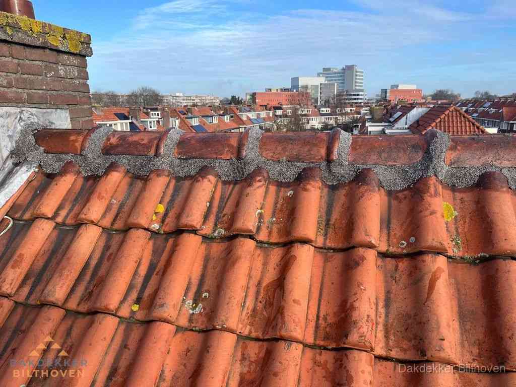 Bilthoven Daken Renoveren Bilthoven Daken Renoveren